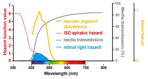 What you need to know - macular pigments